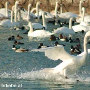 AAACCCHHHTTTUUUNNNGGG!!!! Platz da!!! jetzt komm ich!!!!