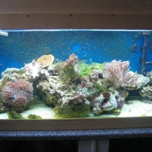 Und mal das Meeresbecken