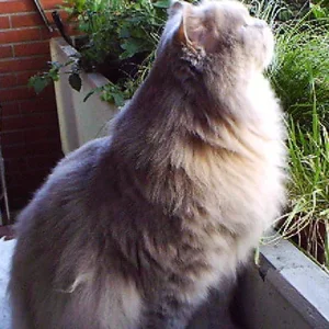 Geruch der Freiheit....