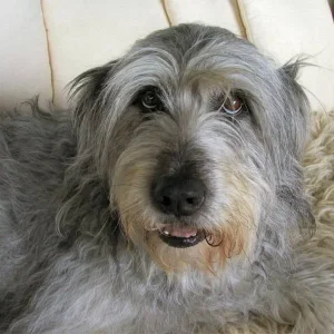 Schau mir in die Augen!