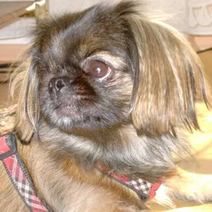 Das ist Lisa, die ist auch meine Freundin...