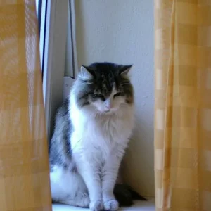 Leo... ganz ernst...