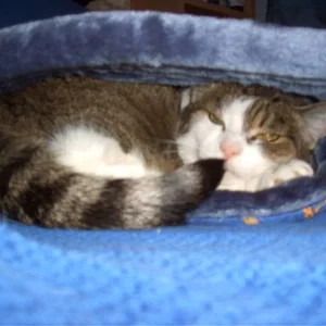 ey mann was guckst du?