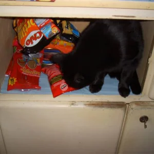 ....schade, nix für mich drinnen...