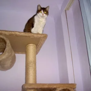 ICH will hoch hinaus