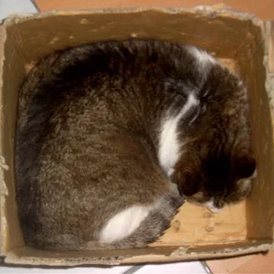 ich mach mich klein dann pass ich rein !!!!