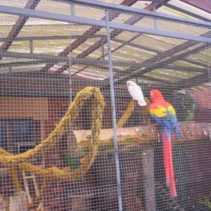 Zwei verlassene Seelen