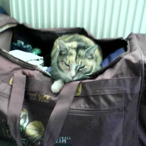 Du gehst nicht ohne mich