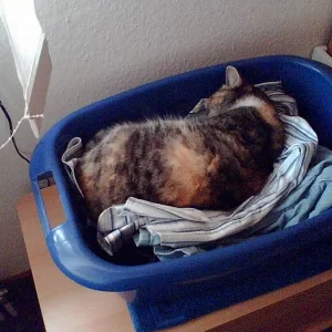 Frische Wäsche, schöööön kuschelig!