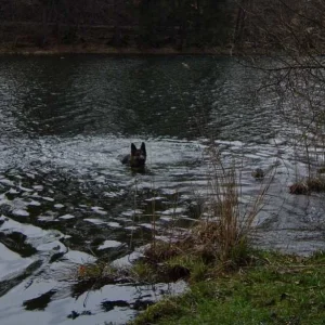 Schwimmen ist herrlich