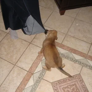 Fraulis Morgenmantel is soooooo super zum spielen!