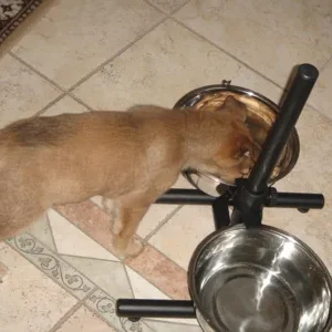 Spielen macht soooo hungrig!