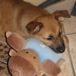 Meine Puppe Joschi ist soooo weich, richtig zum einmützen!!!