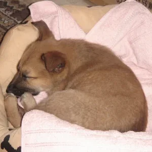 und jetzt bin ich megamüde - was für ein anstrengender tag!