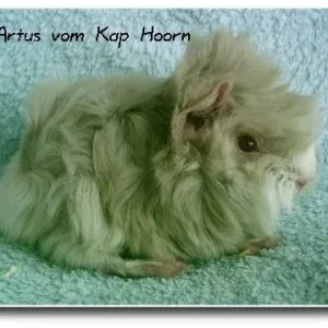 Das ist Artus ein Peruaner Baby