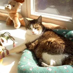 "einmal sonnenbaden bitte"