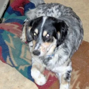 Bommer mit 9 Monaten