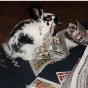 Marlon hat genug gelesen...