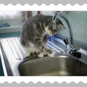 er ist so ein wasser fan