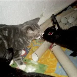 das erste kennenlernen