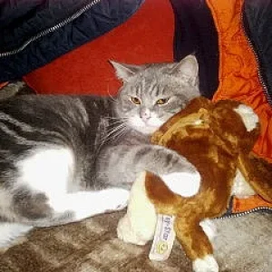 er und sein kuscheltier