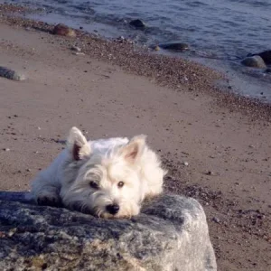 ..unsere Meerjungfrau