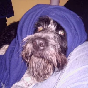 Mein Boomer mit nem Turban