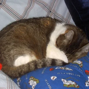 minki beim einschauen