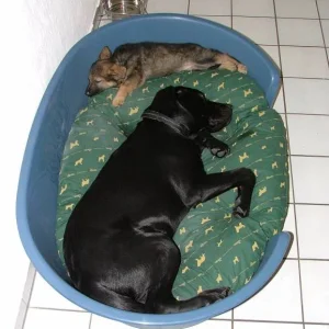 So richtig nett ist es nur im Bett