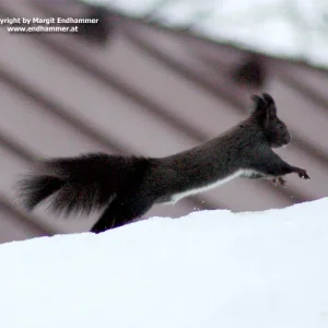 Beim Spazierengehen erwischt :)