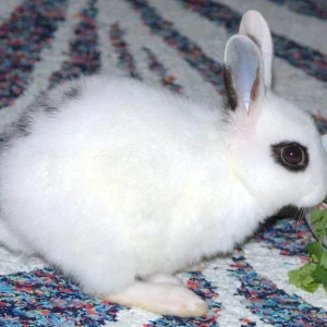 Unser "neues" Fleckchen