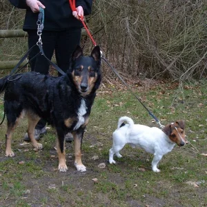 unsere sonnenscheine :-)