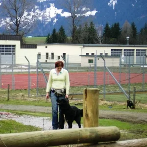 Romy und Nero - Hundeschule