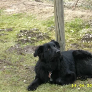 ... Nero ganz gespannt....