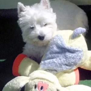 schööööön in der Sonne