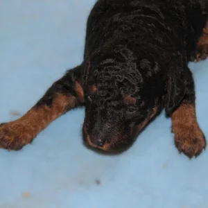 Paula - erstes Bild :-)