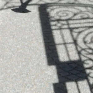 Schattenspiel, wer findet die Taube?