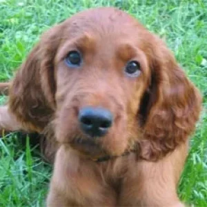 Mit diesem Blick bekomm ich   A L L E S ...