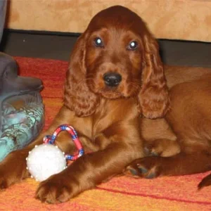 ... ich spiel mit meinem Balli ...