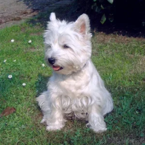 spielt keiner mit mir ??