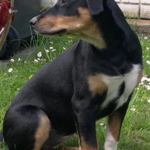 Ich bin ja schon soooo groß!