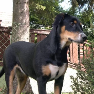 Und das ist meine "Schokoladenseite"