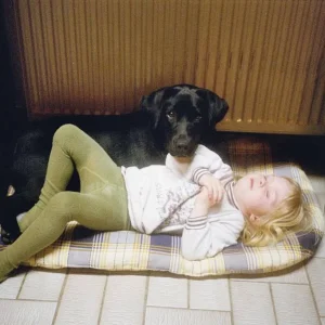 Die zwei Unzertrennlichen