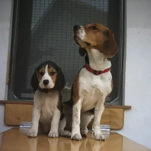 'den alten Sack ignorier ich einfach.....'