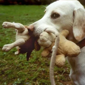 Und meine Plüschkameraden!