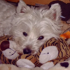 Ist das langweilig hier ..........