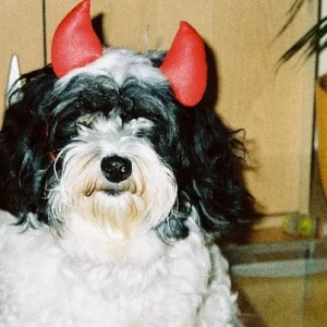 manchmal mach ich meinen Namen Ehre