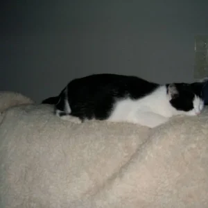 Sissys liebster zeitvertreib