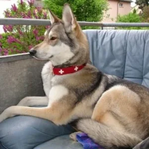 Mein Balkon, mein Garten, mein Sessel!