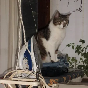 fertig mit der Bügelwäsche